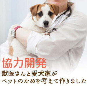 ybgTvgrE֐(Lp)T~[T|[gYiVRRt^Cv/30