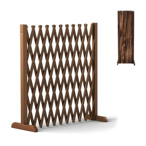 YASICA뉀ؐtFXԉˍ򉮊OYN[[I̍K[ftFXLkp[eBVő200cmLؐYhQOpx[X׏dɋȒPghhc