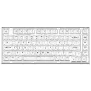 YUNZII X75 �L�� �z�b�g�X���b�v���J�j�J���L�[�{�[�h �����ȃL�[�L���b�v �K�X�P�b�g����75�L�[�{�[�h RGB�o�b�N���C�g�t�� �Q�[�~���O�L�[�{�[�h Windows/Mac�Ή�(�N���X�^���A�C�X���A�L���c