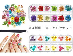 hCt[[X120WA[glC24Fxe5P[X[P[Xt