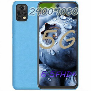 UMIDIGI A13 Pro 5G�X�}�z SIM�t���[�X�}�[�g�t�H���{��? RAM 8GB/ROM 128GB 256GB�g���\ �O���[�o���� �X�}�zNFC �f���A��5G�ʐM 90HZ �I�N�^�R�A 6.5�hFHD ���� 48MP+24MP+16MP