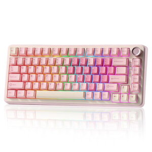 YUNZII B75 PRO 75% �K�X�P�b�g�Q�[�~���O�L�[�{�[�h �������J�j�J���L�[�{�[�h BT/2.4G/�L�� ���C�����X �z�b�g�X���b�v ���� RGB �m�u�t���J�X�^���L�[�{�[�h Mac/Win�p �Z�K�F�؎擾 (�s���N, �~�c