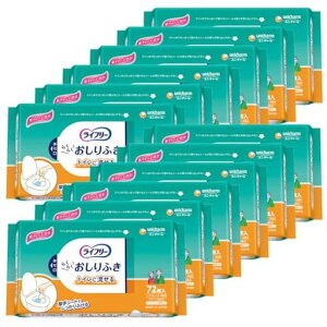 Ct[lpӂgCɗ864(72x12)[P[Xi]