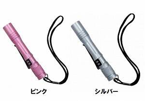 RebN tH[JX yCg d S SE-21 SE-22