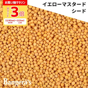 y|Cg3{`11/11()01:59zCG[}X^[hV[h 15g` {ChY Y i XpCX ~VruO} oQYLb`̗p  ʃpE`