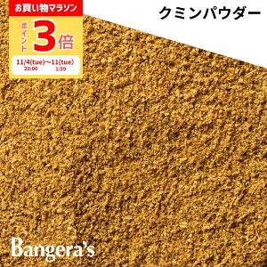 y5̓|Cg5{Iő20ItN[|IzN~pE_[ 15g` {ChY Y i XpCX ~VruO} oQYLb`̗p  ʃpE`