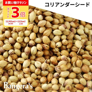 y|Cg3{`11/11()01:59zRA_[V[h 15g` {ChY Y i XpCX ~VruO} oQYLb`̗p  ʃpE`