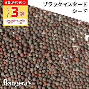 y5̓|Cg5{Iő20ItN[|IzubN}X^[hV[h 15g` {ChY Y i XpCX ~VruO} oQYLb`̗p  