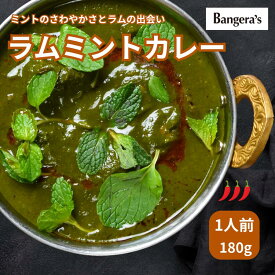 【PU5倍イーグルス感謝祭★〜16日23:59迄】ラムミントカレー 180g 1袋 マンガロール バンゲラズキッチン インドカレー 南インド料理 Bangera's バンゲラズ ラム ミント さわやか クリスマス