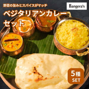 xW^AJ[Zbg 5ޓ Y F ۑsgp xW^AZbg }K[ ChJ[ ⓀJ[ XpCXJ[ J[ Bangera's oQY NX}X