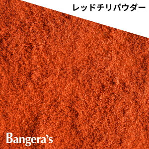 `pE_[ 15g` {ChY Y i XpCX ~VruO} oQYLb`̗p  ʃpE`