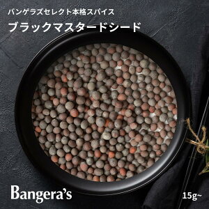 yő50It!! Ԓ|Cg5{!!zubN}X^[hV[h 15g` {ChY Y i XpCX ~VruO} oQYLb`̗p  ʃpE`