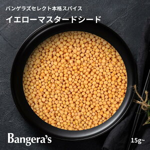 yő50It!! Ԓ|Cg5{!!zCG[}X^[hV[h 15g` {ChY Y i XpCX ~VruO} oQYLb`̗p  ʃpE`