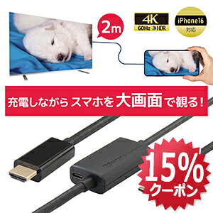 y11/20 20` P2{ ő15%OFFzUSB Type-C to HDMI ϊP[u 2m PD 100W Ή RS-UCHD4K60-2MA X}z er ڑ P[u X}z er  f X}zerP[u AhCh iPhone17 Type-C HDMI [
