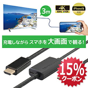 y11/20 20` P2{ ő15%OFFzUSB Type-C to HDMI ϊP[u 3m PD 100W Ή RS-UCHD4K60-3MA X}z er ڑ P[u X}z er  f X}zerP[u AhCh iPhone17 Type-C HDMI [