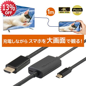 y9/4 20` P2{ ő5~OFFzUSB Type-C to HDMI ϊP[u 1m PD 100WΉ RS-UCHD4K60-1MA X}z er  f X}zerP[u AhCh iPhone16 Type-C HDMI [dȂ erɉfP
