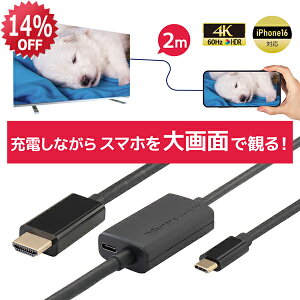y9/4 20` P2{ ő5~OFFzUSB Type-C to HDMI ϊP[u 2m PD 100WΉ RS-UCHD4K60-2MA X}z er  f X}zerP[u AhCh iPhone16 Type-C HDMI [dȂ erɉfP