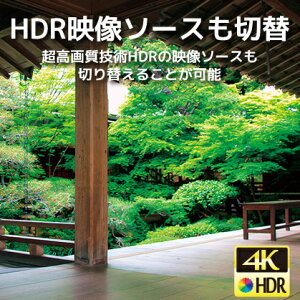 RS-HDSW42A-4KA