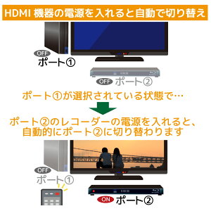 RP-HDSW41