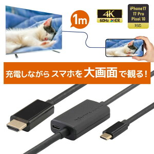 USB Type-C to HDMI �ϊ��P�[�u�� 1m PD 100W �Ή� RS-UCHD4K60-1MA �X�}�z �e���r �ڑ� �P�[�u�� �X�}�z �e���r �� �f�� �X�}�z�e���r�P�[�u�� �A���h���C�h iPhone17 Type-C HDMI �[�d���Ȃ��� �X�}�z�̉�ʂ�