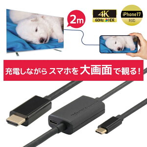 y10/9 1:59 P2{ ő2~OFFzUSB Type-C to HDMI ϊP[u 2m PD 100W Ή RS-UCHD4K60-2MA X}z er ڑ P[u X}z er  f X}zerP[u AhCh iPhone17 Type-C HDMI 