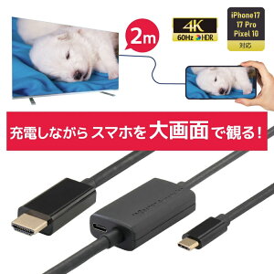 USB Type-C to HDMI ϊP[u 2m PD 100W Ή RS-UCHD4K60-2MA X}z er ڑ P[u X}z er  f X}zerP[u AhCh iPhone17 Type-C HDMI [dȂ X}z̉ʂ