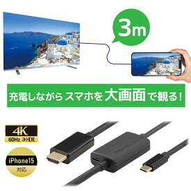 USB Type-C to HDMI 変換ケーブル 3m PD対応 RS-UCHD4K60-3MA スマホ テレビ に 映す アンドロイド iPhone15 テレビに映すケーブル スマホ テレビ 接続 ケーブル Android テレビ 変換 4K60Hz HDR タイプC HDMI USB 変換 USB-C PD 3.0 100W