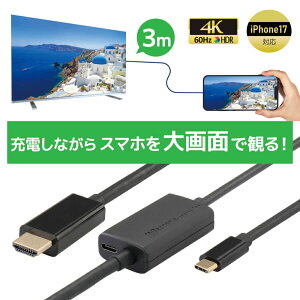 y10/4 20` P2{ ő2~OFFzUSB Type-C to HDMI ϊP[u 3m PD 100W Ή RS-UCHD4K60-3MA X}z er ڑ P[u X}z er  f X}zerP[u AhCh iPhone17 Type-C HDMI 