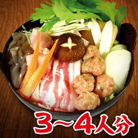 博多 ちゃんこ鍋 セット （野菜付・3〜4人分）