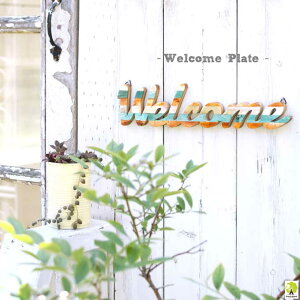 ウエルカムプレート welcome 玄関 サインボード ウエルカムボード ドおしゃれ アメカジ ハワイ 北欧 アジアン エスニック