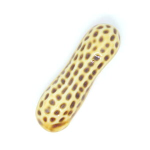 u u Jg[Xg    aH Jg[ 킢 Vv ͂  JtF i` yRCPz ̓ ̓ Mtg