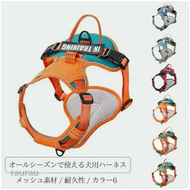 通気性 ベルト調節可 装着簡単 首輪 胴輪 中型 大型 小型 メッシュ素材 セット リードセット 胴輪 犬具 大型犬 中型犬 ハーネス