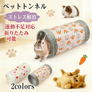 チンチラ ハウス Amazon ペットチンチラハウス プラットフォーム付き 