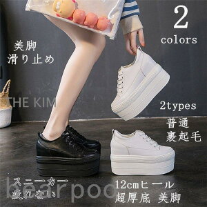 Xj[J[ fB[X Ȃ ʊw ₷ C 12cmq[  r ~ C so| JWAV[Y  l