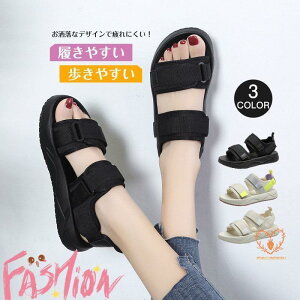 T_ fB[X X|[cT_ T}[T_  ₷ ؍ JWA ₷ ɂ AEghA 킢