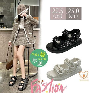 T_ fB[X T}[T_  tbgxNX|[cT_ ʋC ؍ JWA ₷ ₷ 킢