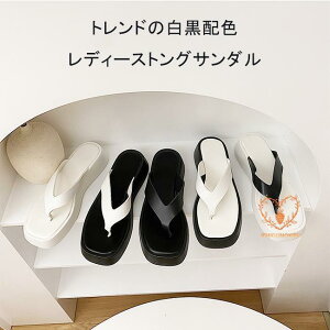 gO T_ fB[X r[T  Xbp gOT_  r[`T_ r gOXbp  gO T_ 