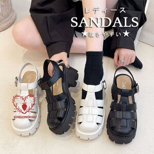 T_ OJT_ fB[X T}[ [}T_ ҂ݍ ؂ ~ ₷  y Ȃ NXT_