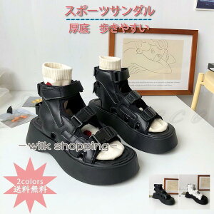 X|[cT_ fB[X T}[T_  }WbNe[v xN ~ r ₷ ꂢ 