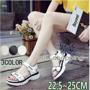 X|[cT_ fB[X  Xj[J[T_ ₷ PU _炩NbV h y JWA ^C  Xgbv