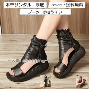 {vT_ fB[X T}[T_ u[c OfBG[^[  r ₷ ₷ ꂢ 