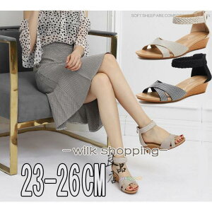 T_ S  fB[X ₷ _炩 EFbW\[   NbV 5cm q[