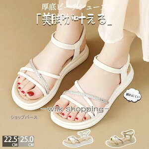  T_ fB[X ɂȂ y ʋC r[` T_ Xbp X|[cT_ _炩 Ȃ tbgT_ ~ bNX