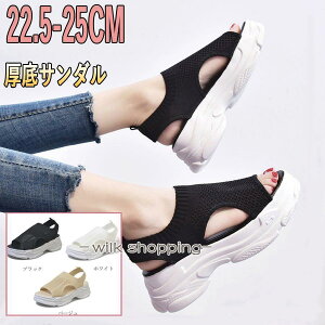 T_ fB[X  X|[cT_    bV ʋC ؍ JWA ₷ 傫TCY