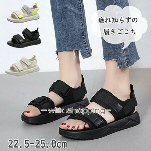 T_ fB[X  X|[cT_ T_ ~ r  ₷ Xj[J[T_ 傫TCY RtH[g V[Y y C