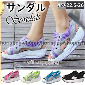 T_ X|[cT_ fB[X  Xj[J[T_ bV ʋC y JWA WMO ₷ r ʋΒʊw