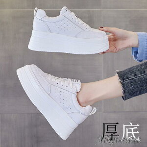 Xj[J[ fB[X X|[cV[Y C X|[c V[Y ~ h r r ₷ Ȃ ɂȂ ʋC Vv ʋ ʊw