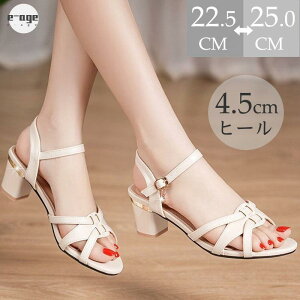 XgbvT_ fB[X ANXgbv ƕt ҂ݍ nCq[ ₷ ɂ y NbV JWA ꂢ  