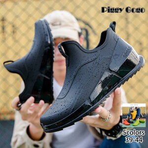 CV[Y Y Cu[c j V[g JC ނC h y Xj[J[ V[gu[c o[V[Y h ₷ JWA ~J 