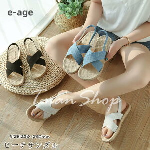 T_ fB[X r[`T_ ăT_ Vv ؂ ItBX ɂ ₷ ~ JWA IV ʊw ʋ r ĕ V